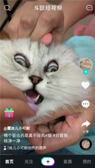 最新老鼠爆料视频下载安装,最新老鼠爆料视频下载安装全过程解析  第2张