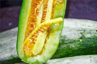 网红在线吃瓜的意义 第2张 网红在线吃瓜的意义 第2张